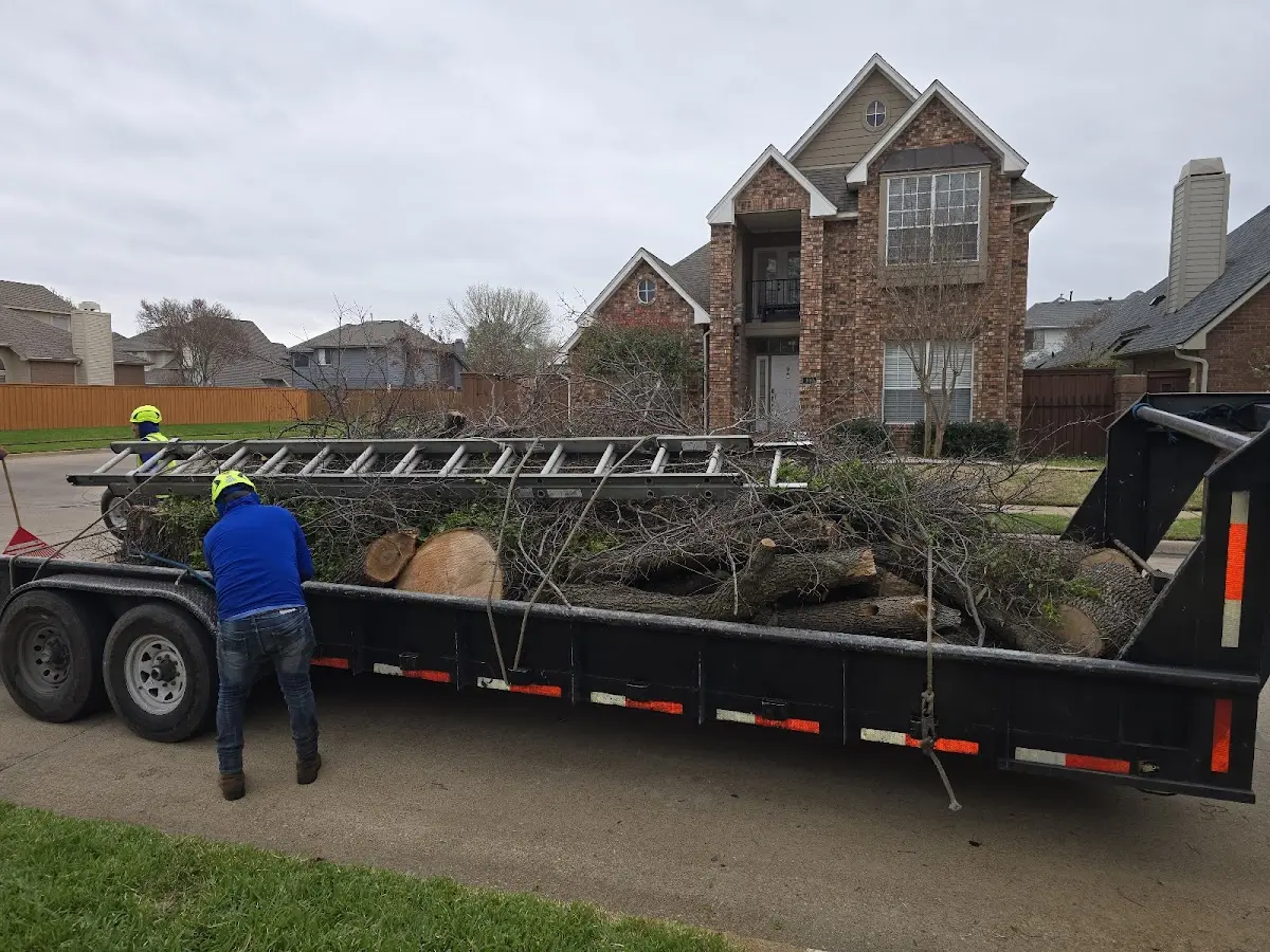 Expert Lot Clearing with proper safety equipment in Windfall
